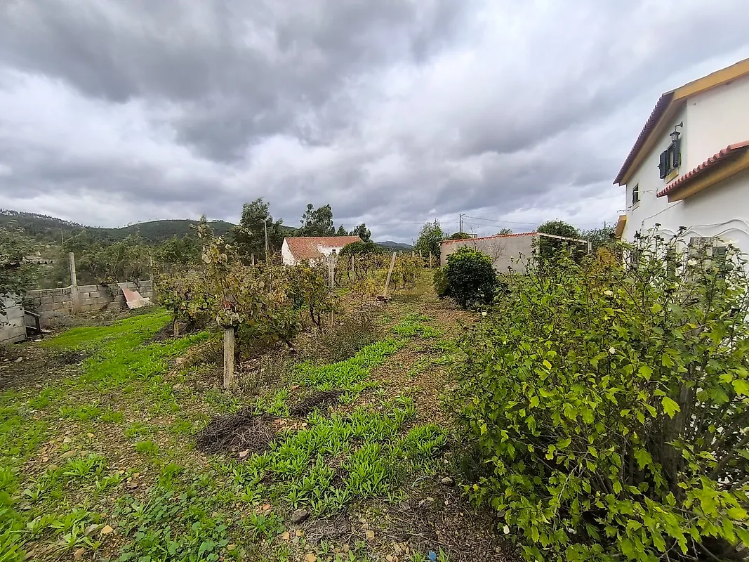 Moradia T3 à venda em Envendos, Mação — foto 29