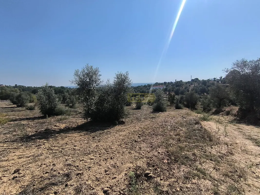 Moradia T0 à venda em Mouriscas, Abrantes — foto 11