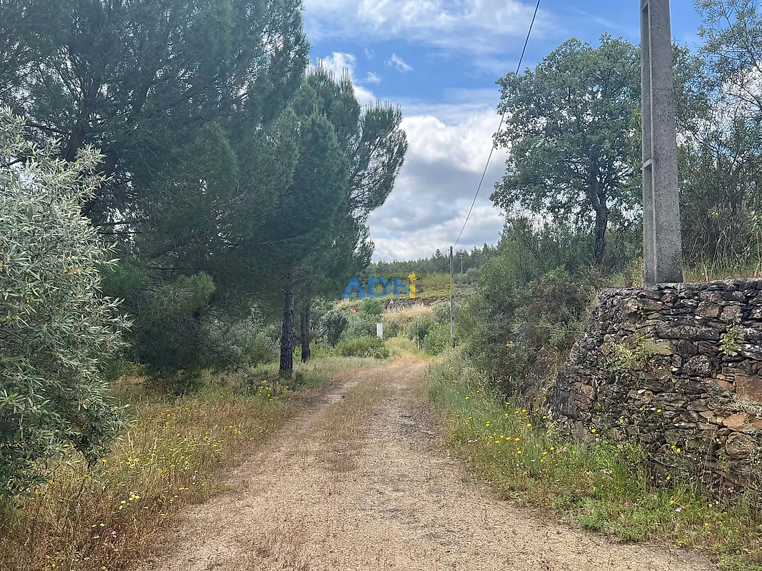 Moradia T2 à venda em Fratel, Vila Velha de Ródão — foto 3