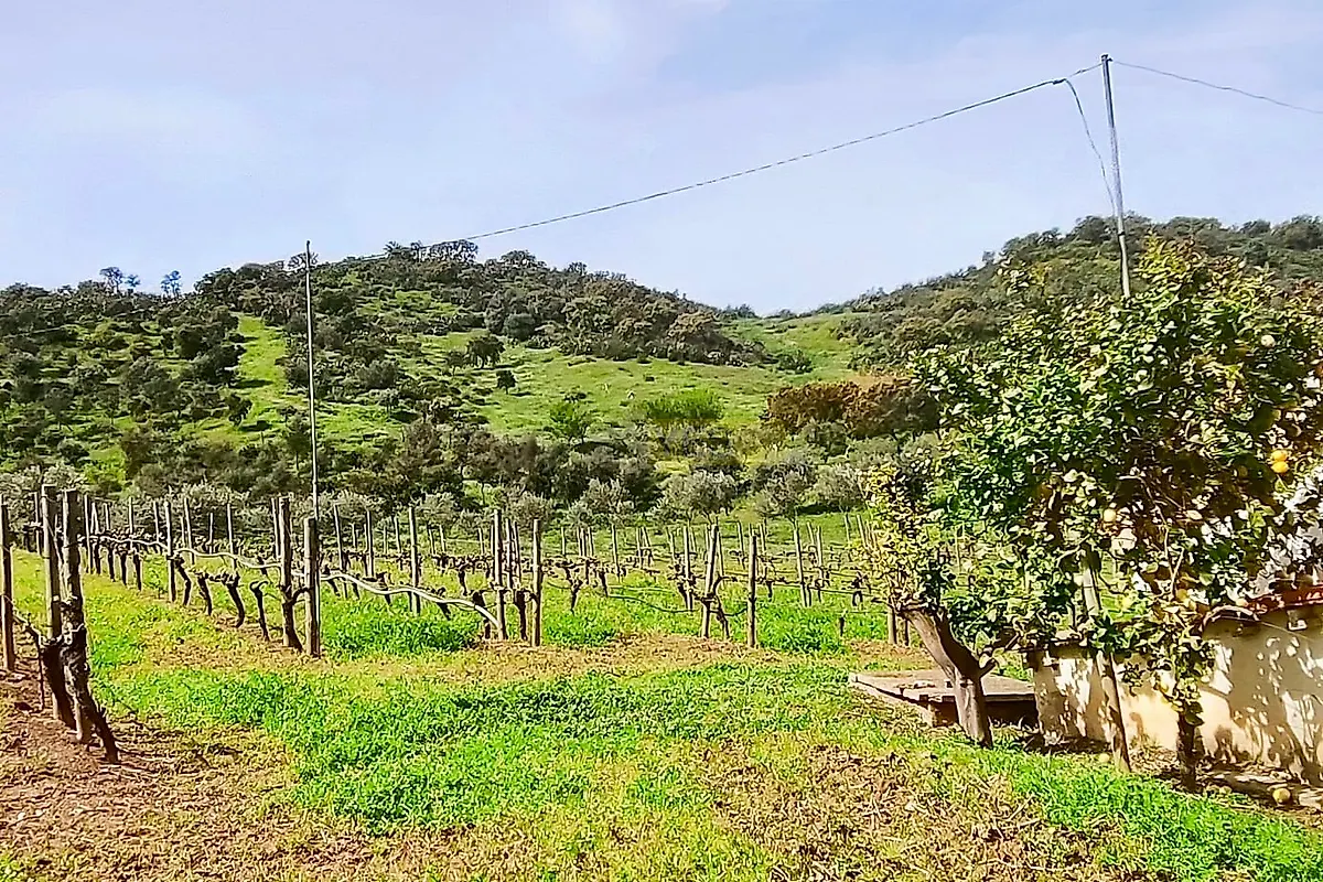 Moradia T5 à venda em Vale de Santiago, Odemira — foto 2