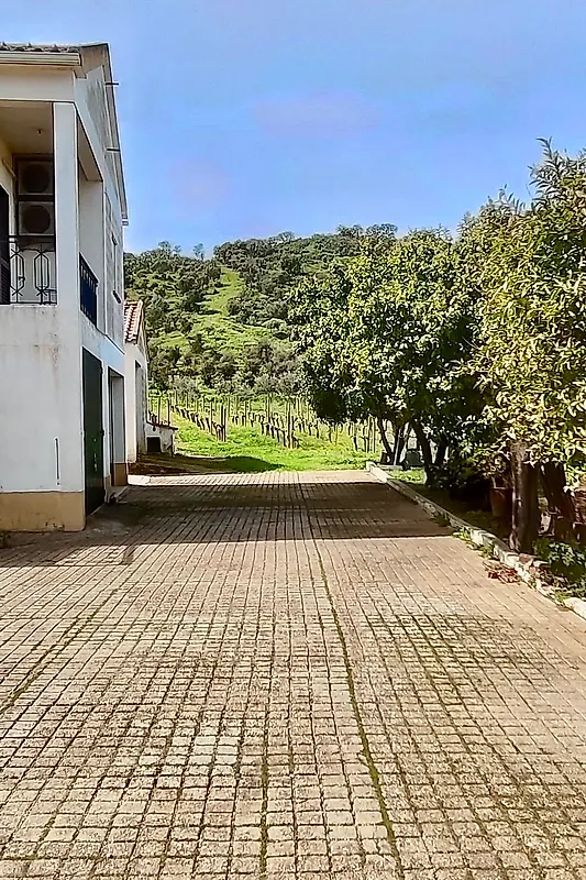 Moradia T5 à venda em Vale de Santiago, Odemira — foto 21