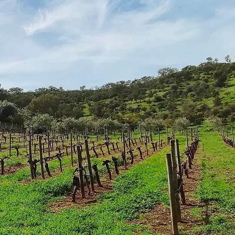 Moradia T5 à venda em Vale de Santiago, Odemira — foto 22