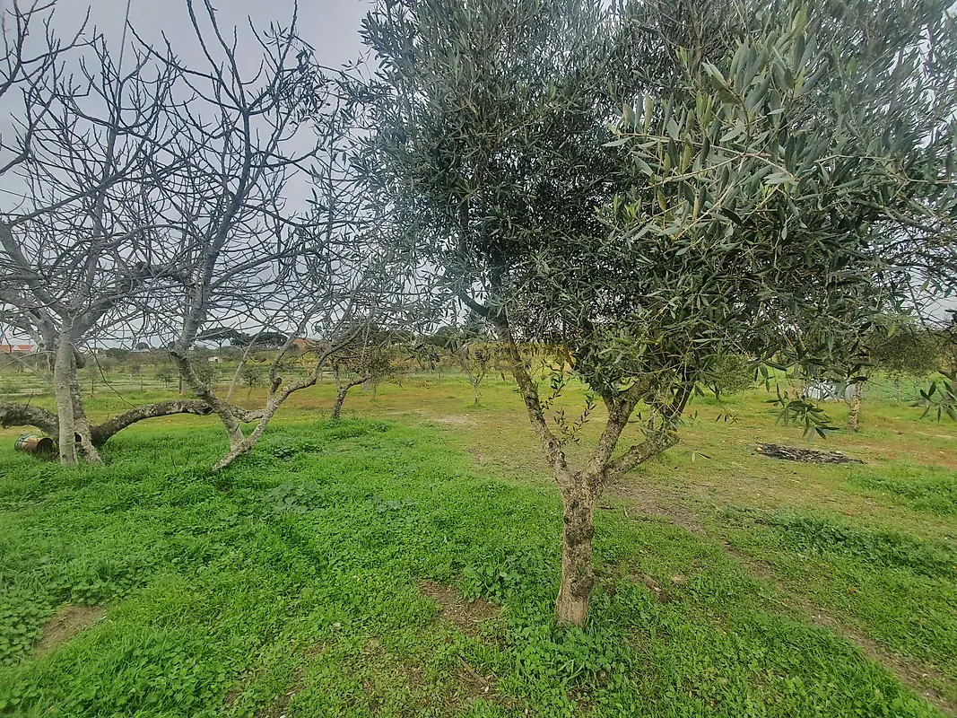 Apartamento T2 à venda em Grândola e Santa Margarida da Serra, Grândola — foto 7