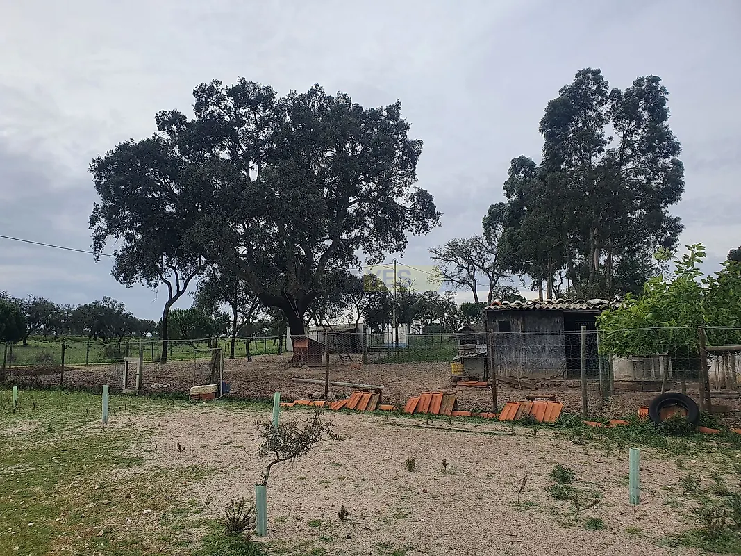 Apartamento T2 à venda em Grândola e Santa Margarida da Serra, Grândola — foto 13