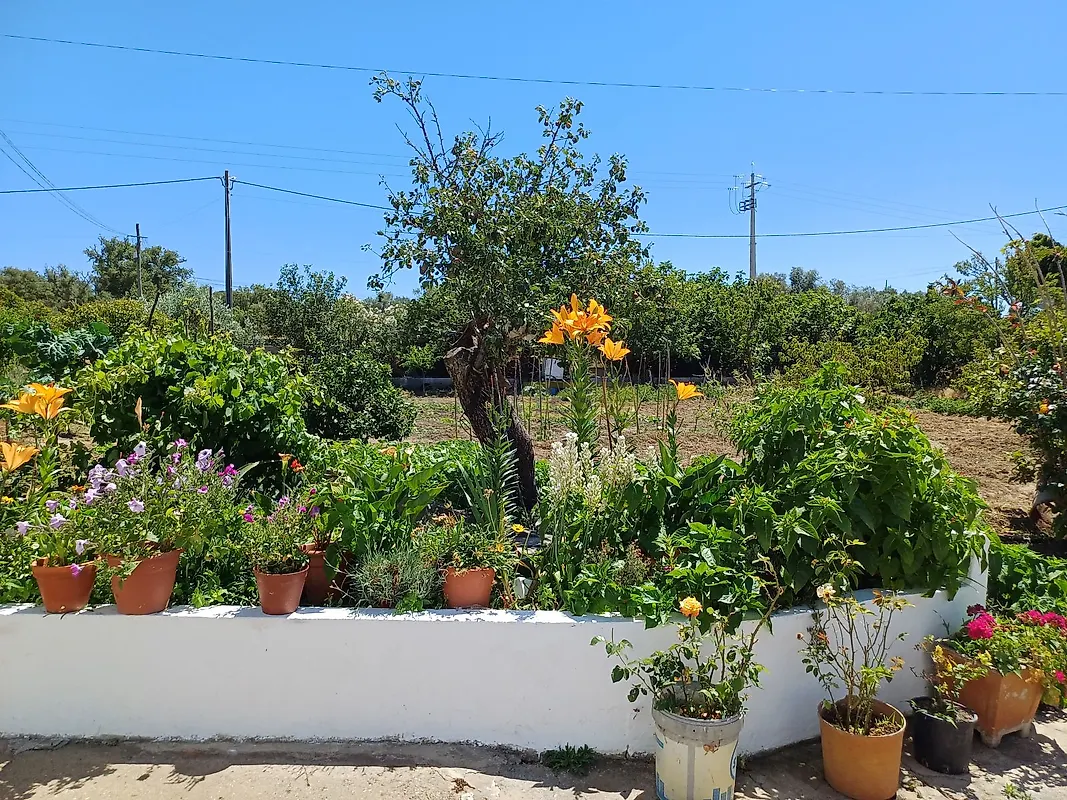 Moradia T2 à venda em Melides, Grândola — foto 18