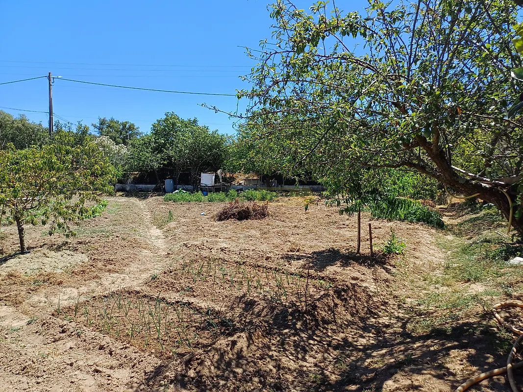 Moradia T2 à venda em Melides, Grândola — foto 21