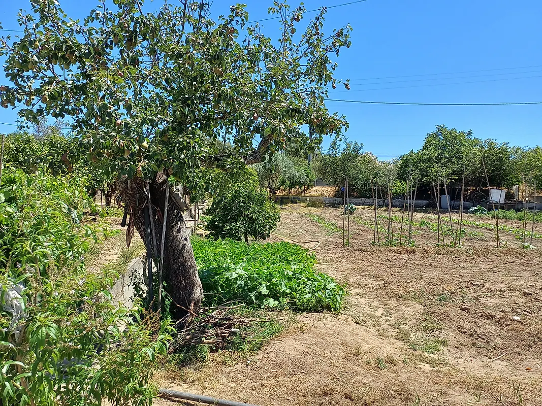 Moradia T2 à venda em Melides, Grândola — foto 22