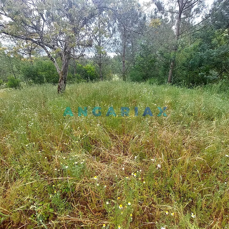 Moradia T2 à venda em Cadima, Cantanhede — foto 18