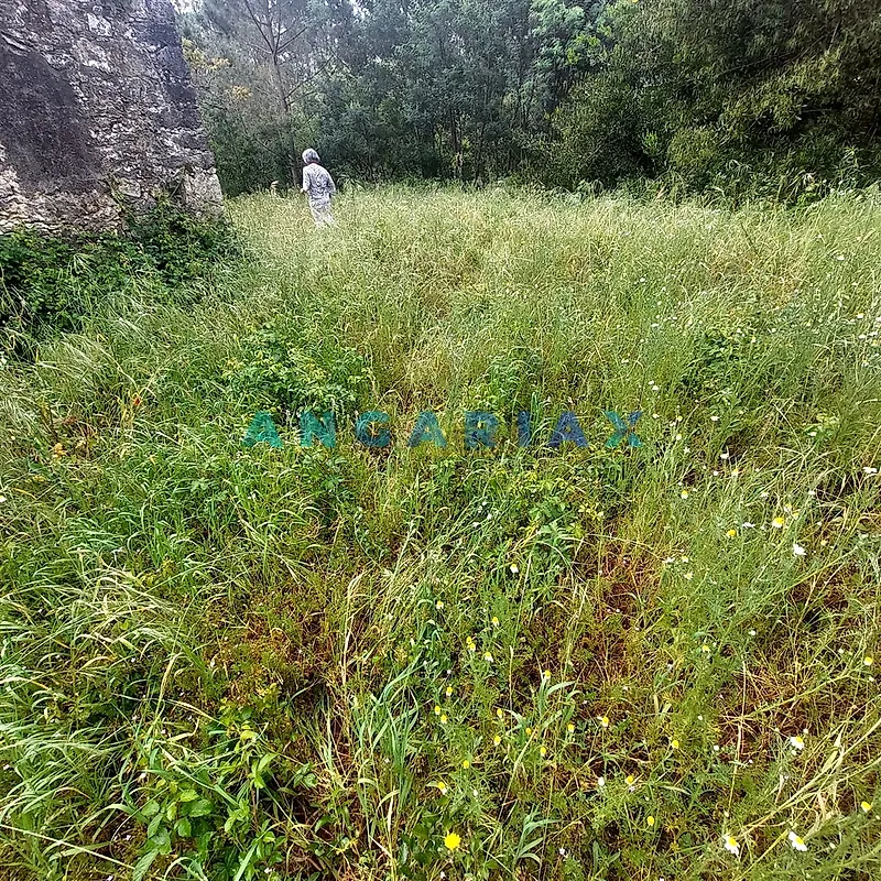 Moradia T2 à venda em Cadima, Cantanhede — foto 12