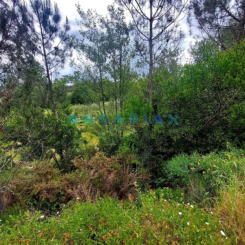 Moradia T2 à venda em Cadima, Cantanhede — foto 10