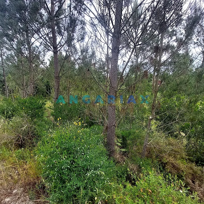 Moradia T2 à venda em Cadima, Cantanhede — foto 9