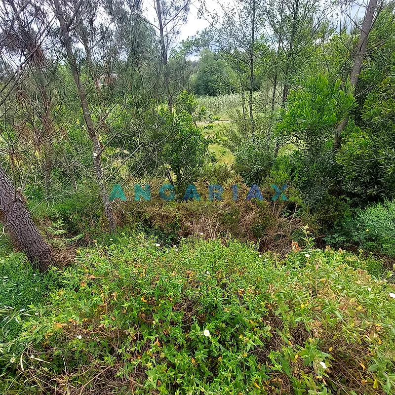Moradia T2 à venda em Cadima, Cantanhede — foto 11