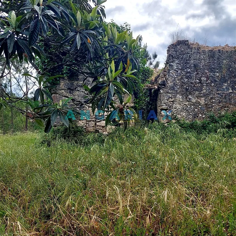 Moradia T2 à venda em Cadima, Cantanhede — foto 6