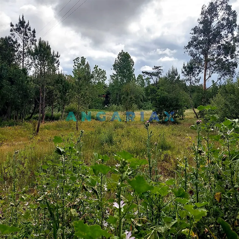 Moradia T2 à venda em Cadima, Cantanhede — foto 7