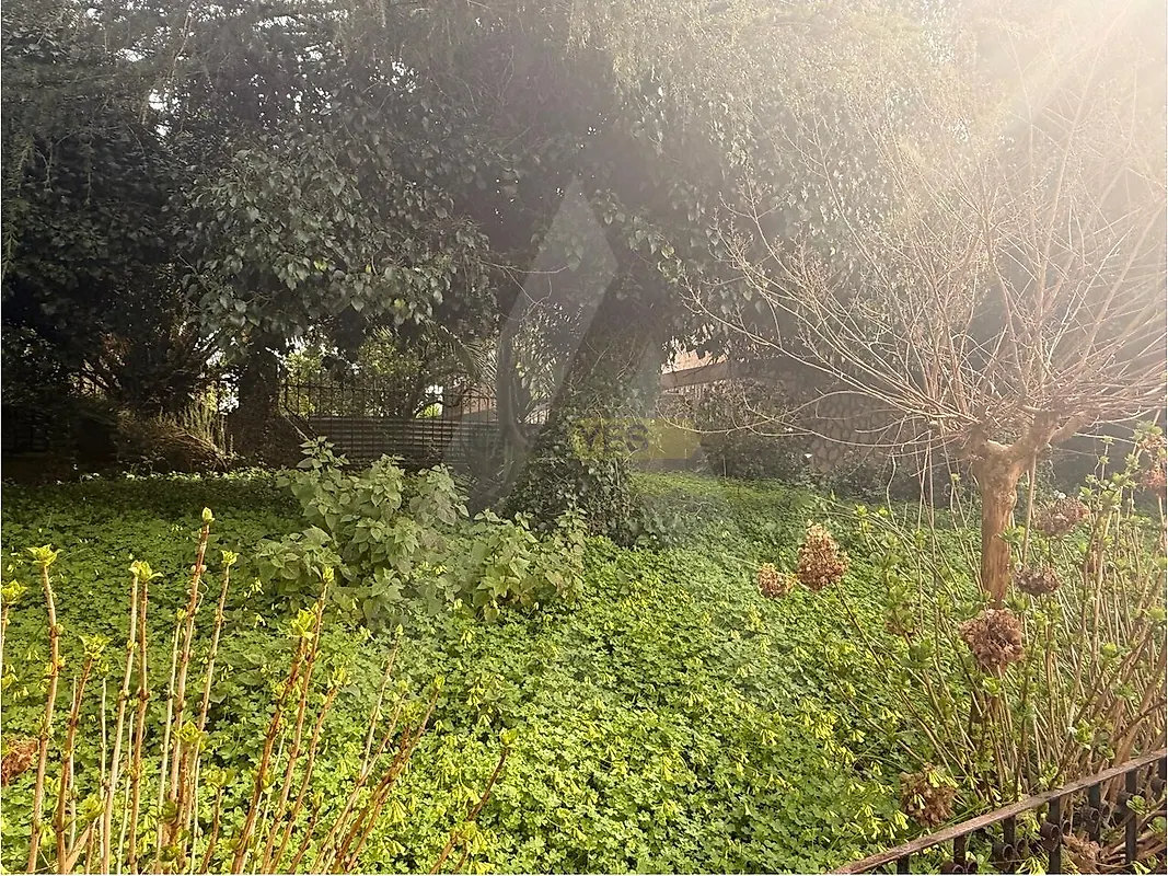 Moradia T6+ à venda em Palhaça, Oliveira do Bairro — foto 6