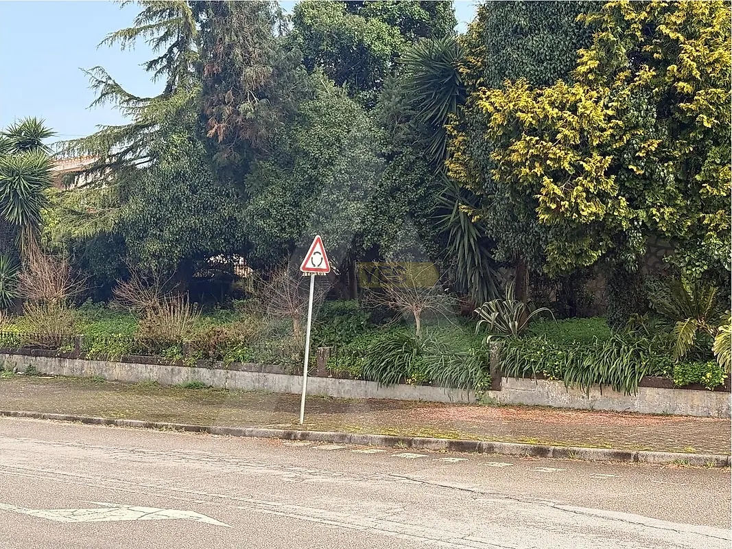 Moradia T6+ à venda em Palhaça, Oliveira do Bairro — foto 11