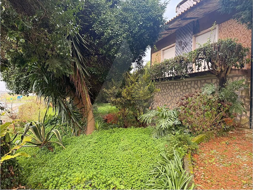 Moradia T6+ à venda em Palhaça, Oliveira do Bairro — foto 17