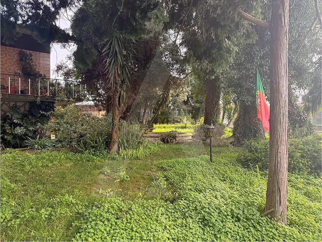 Moradia T6+ à venda em Palhaça, Oliveira do Bairro — foto 18