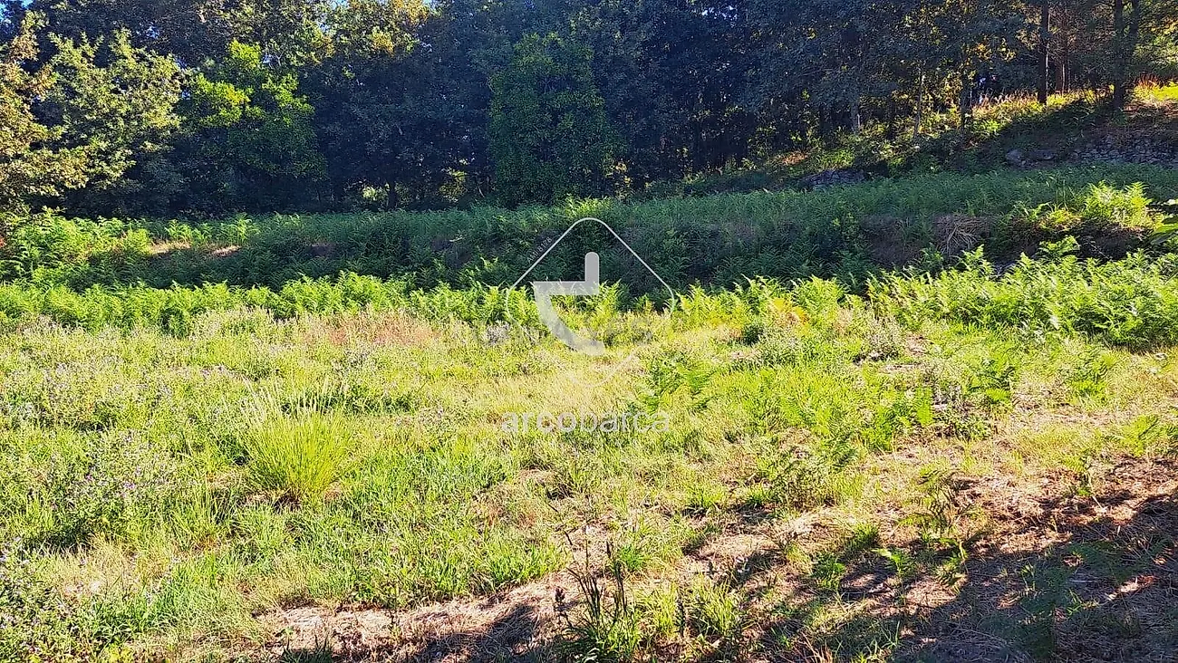 Moradia T3 à venda em Jolda (São Paio), Arcos de Valdevez — foto 8