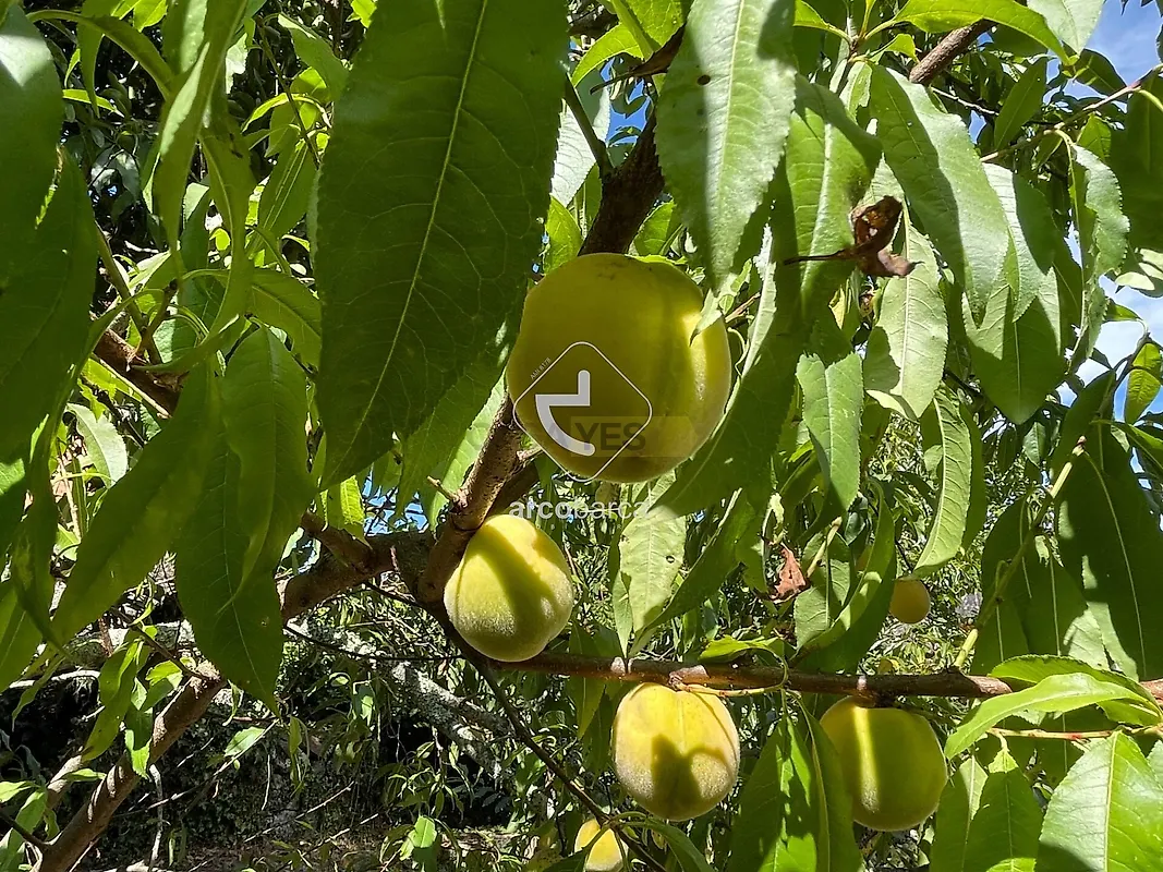 Moradia T2 à venda em Romarigães, Paredes de Coura — foto 32