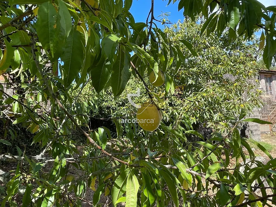 Moradia T2 à venda em Romarigães, Paredes de Coura — foto 33