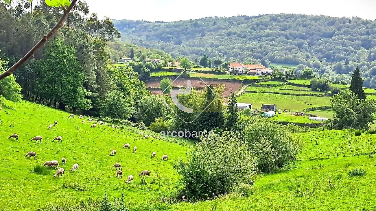 Moradia T3 à venda em Bico e Cristelo, Paredes de Coura — foto 13