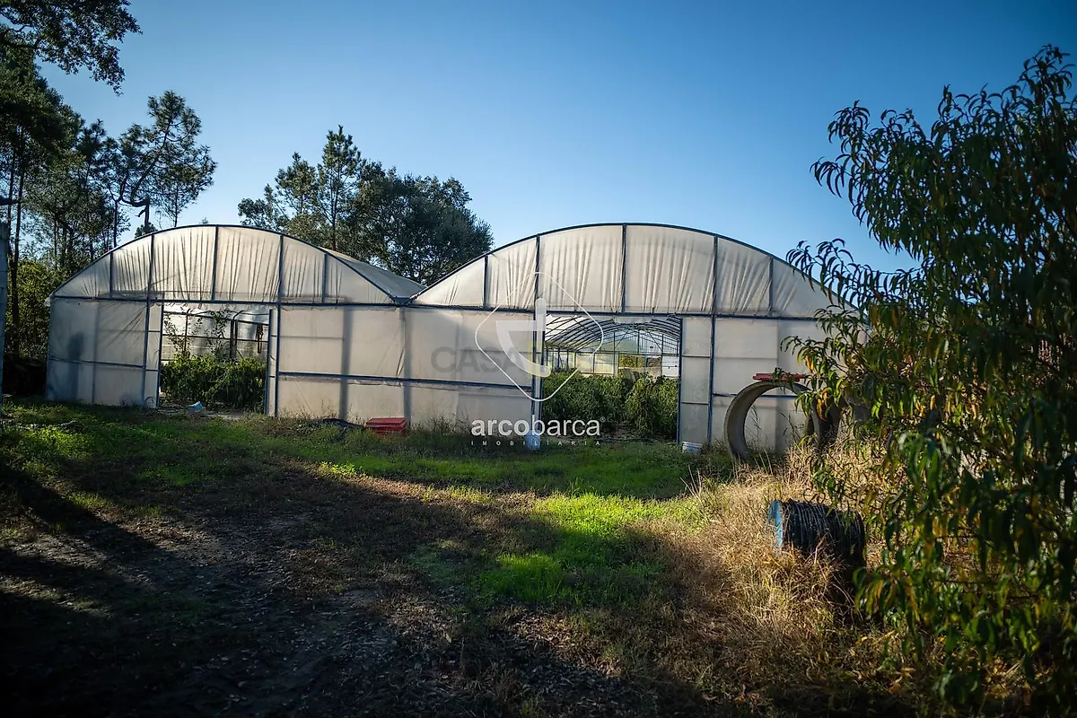 Moradia T3 à venda em Fontoura, Valença — foto 7