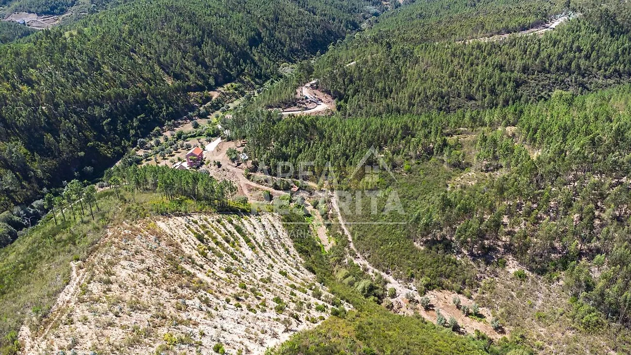 Moradia T6+ à venda em Cambas, Oleiros — foto 10
