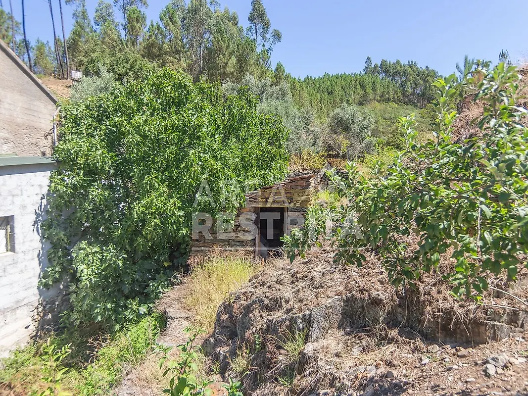 Moradia T6+ à venda em Cambas, Oleiros — foto 28