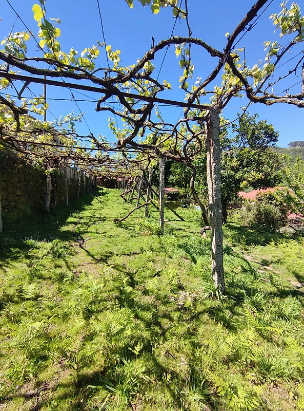 Moradia T0 à venda em Sistelo, Arcos de Valdevez — foto 7