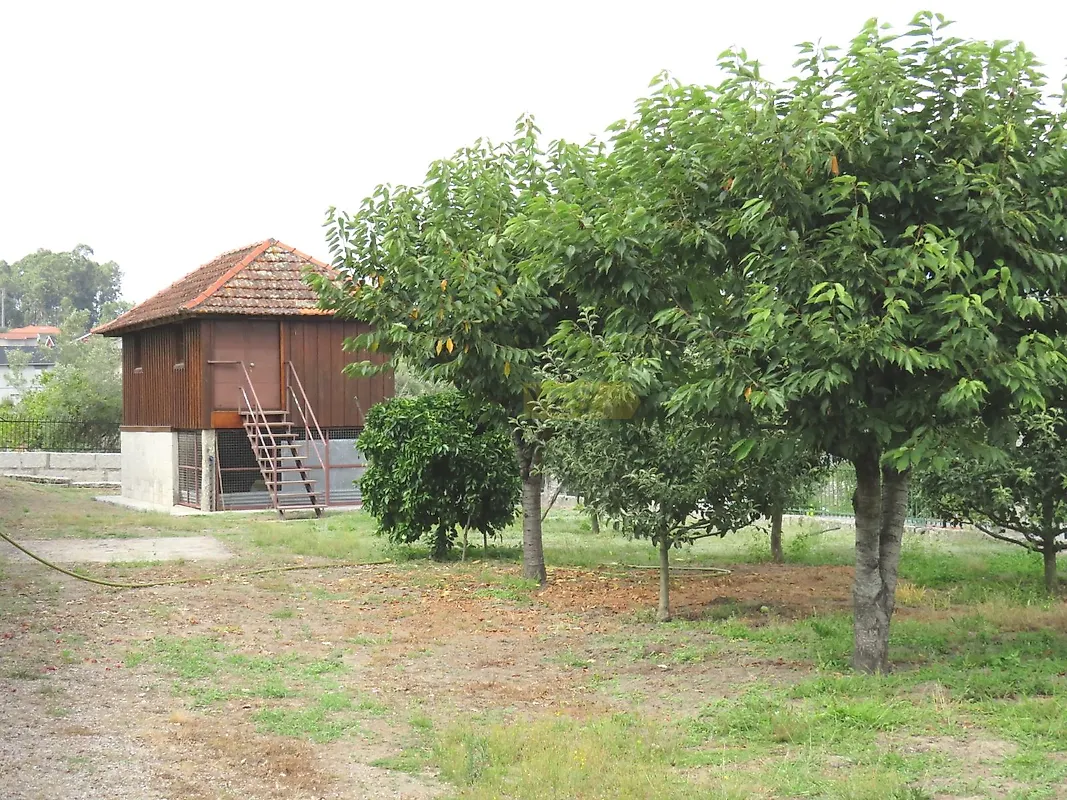 Moradia T6+ à venda em Arcos de Valdevez (Salvador), Vila Fonche e Parada, Arcos de Valdevez — foto 4