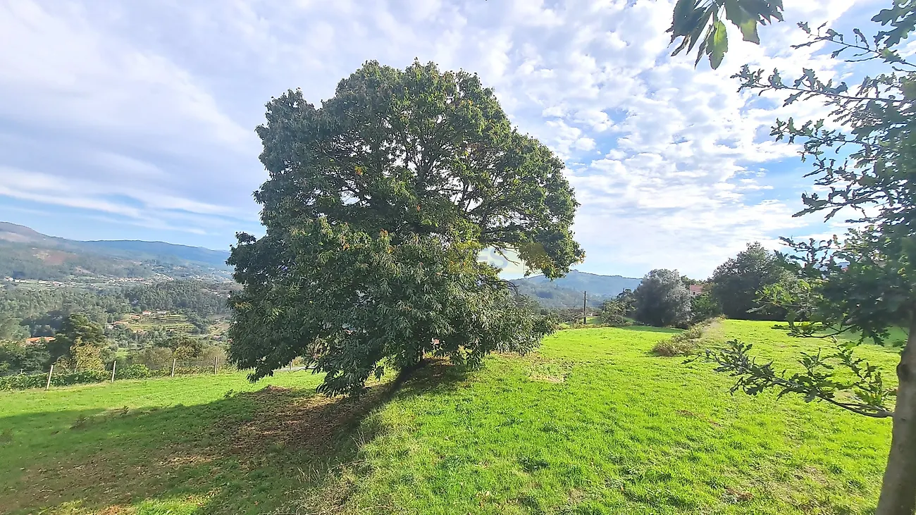 Moradia T4 à venda em Sabadim, Arcos de Valdevez — foto 10