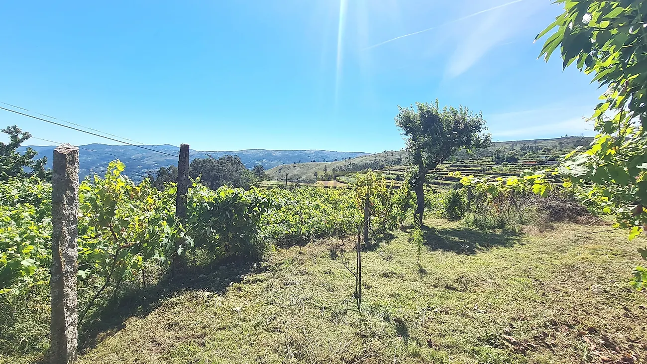 Moradia T3 à venda em Alvora e Loureda, Arcos de Valdevez — foto 7