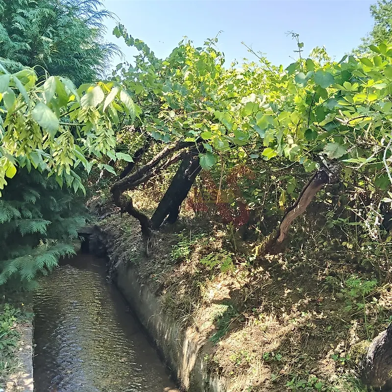 Moradia T4 à venda em Freixo de Cima e de Baixo, Amarante — foto 11