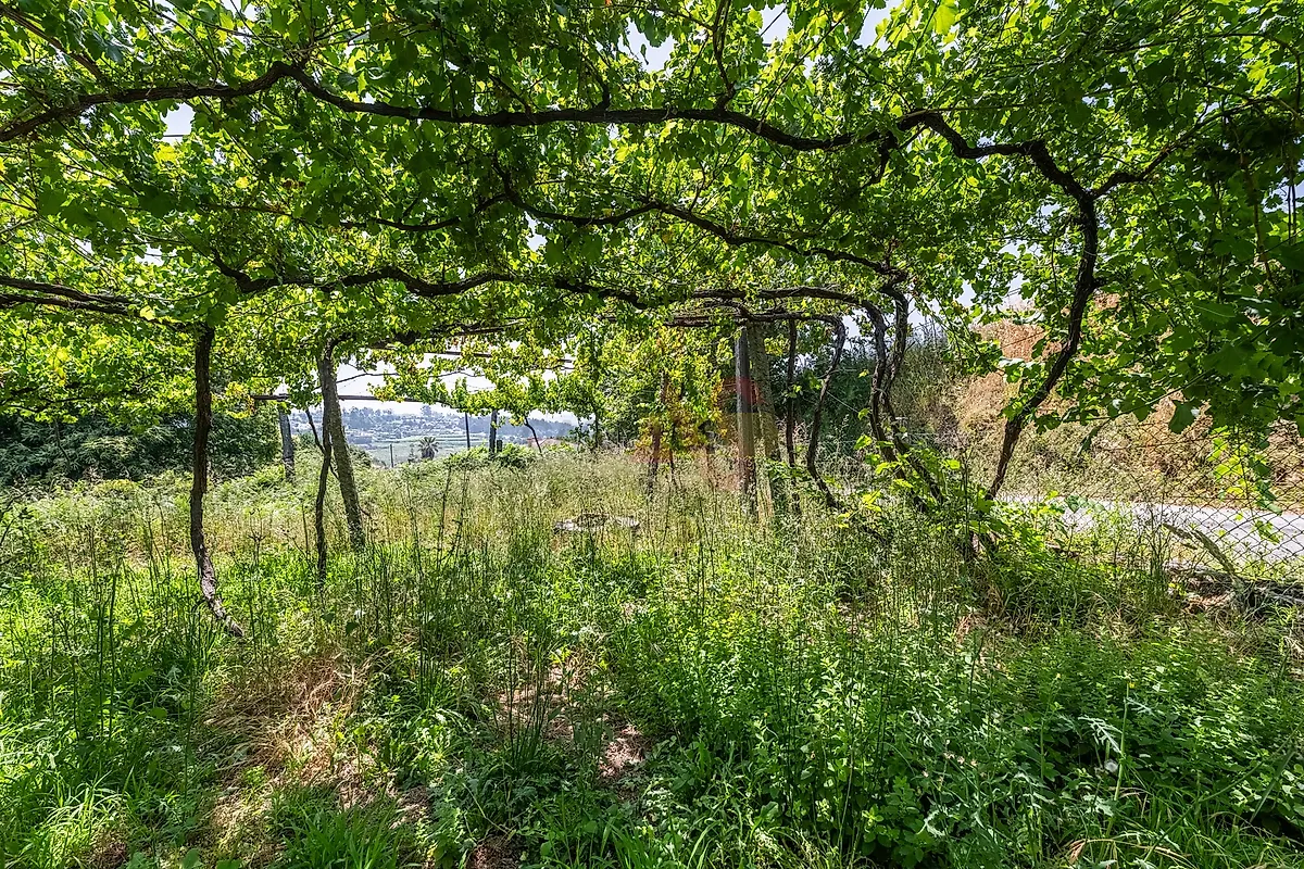 Moradia T6+ à venda em Margaride (Santa Eulália), Várzea, Lagares, Varziela e Moure, Felgueiras — foto 16