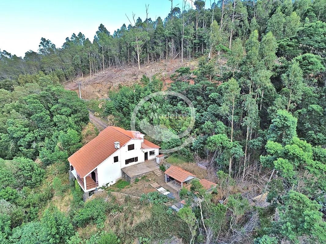 Moradia T4 à venda em Camacha, Santa Cruz — foto 7