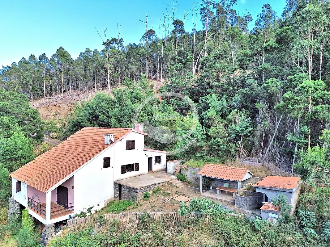 Moradia T4 à venda em Camacha, Santa Cruz — foto 2