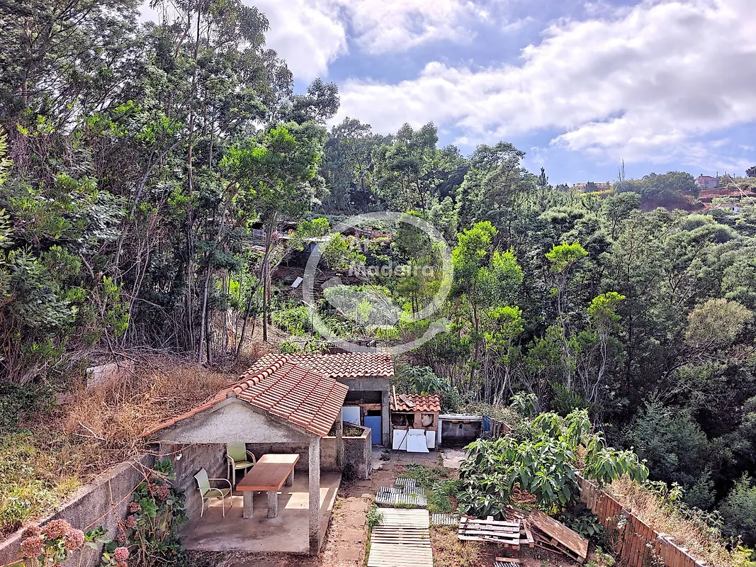 Moradia T4 à venda em Camacha, Santa Cruz — foto 25