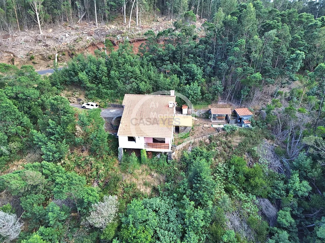 Moradia T4 à venda em Camacha, Santa Cruz — foto 6