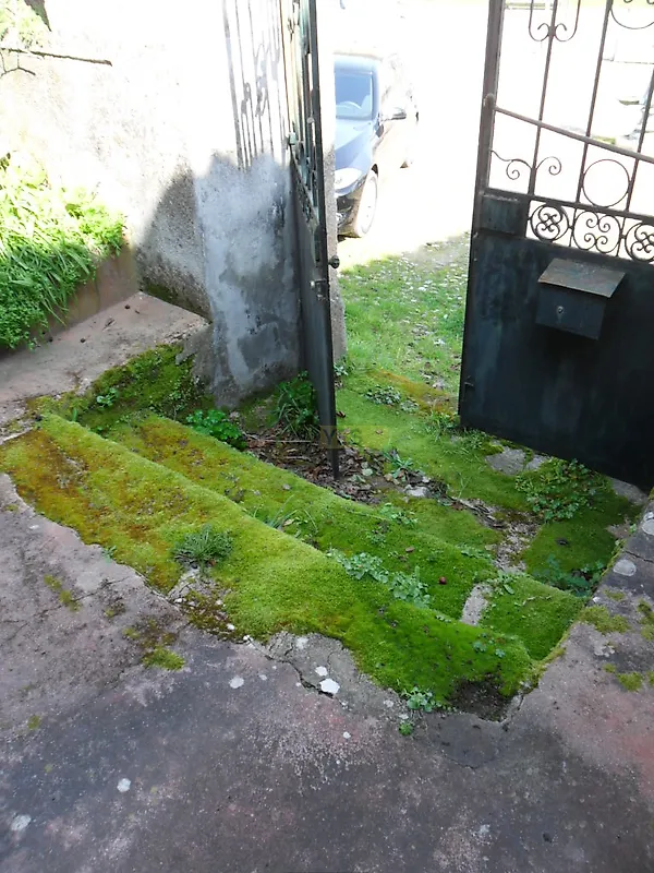 Moradia T5 à venda em Vila Flor e Nabo, Vila Flor — foto 37