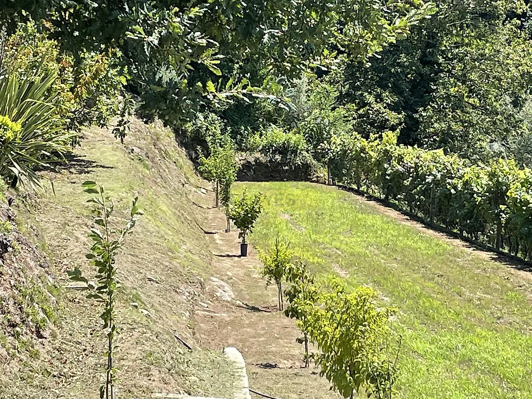 Moradia T0 à venda em Ganfei (São Salvador), Valença — foto 32
