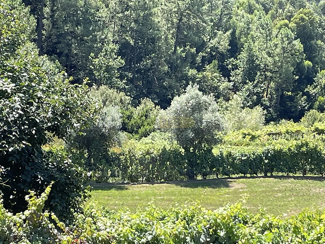 Moradia T0 à venda em Ganfei (São Salvador), Valença — foto 33
