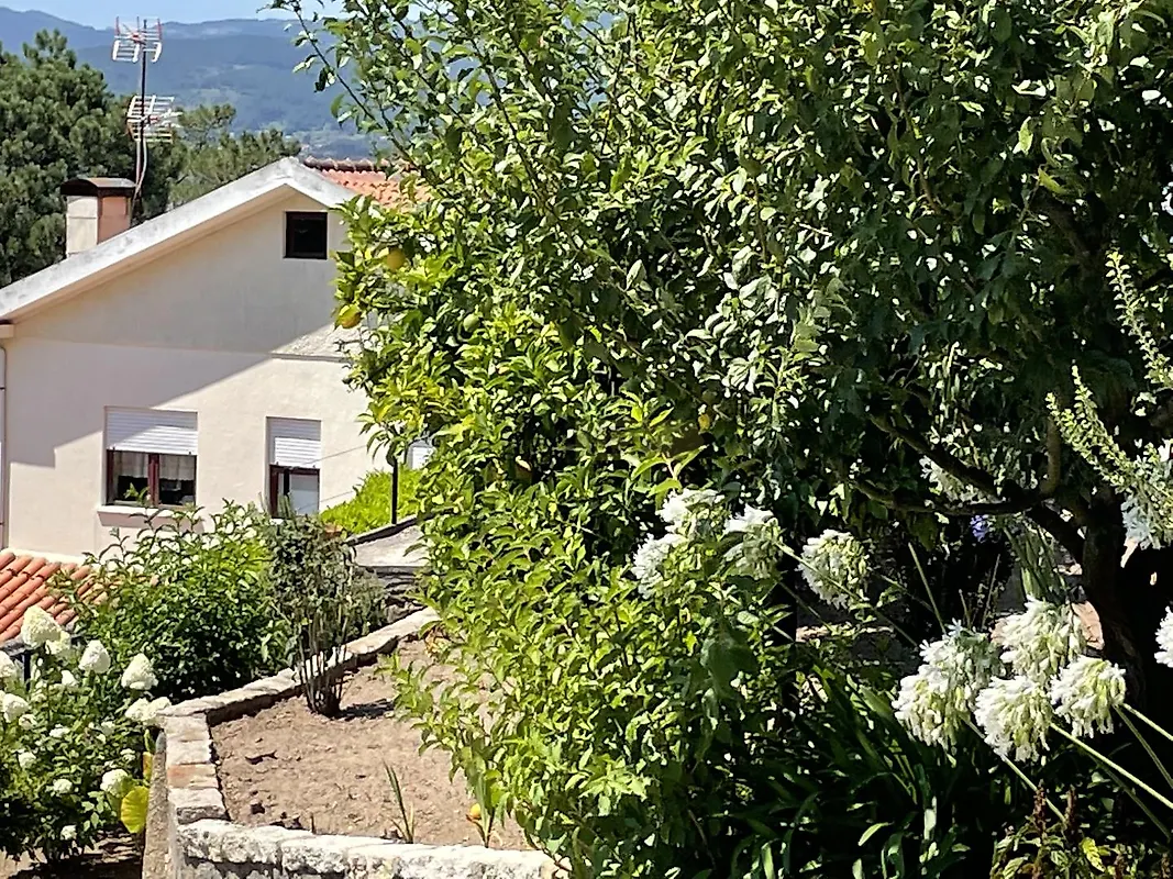 Moradia T0 à venda em Ganfei (São Salvador), Valença — foto 34