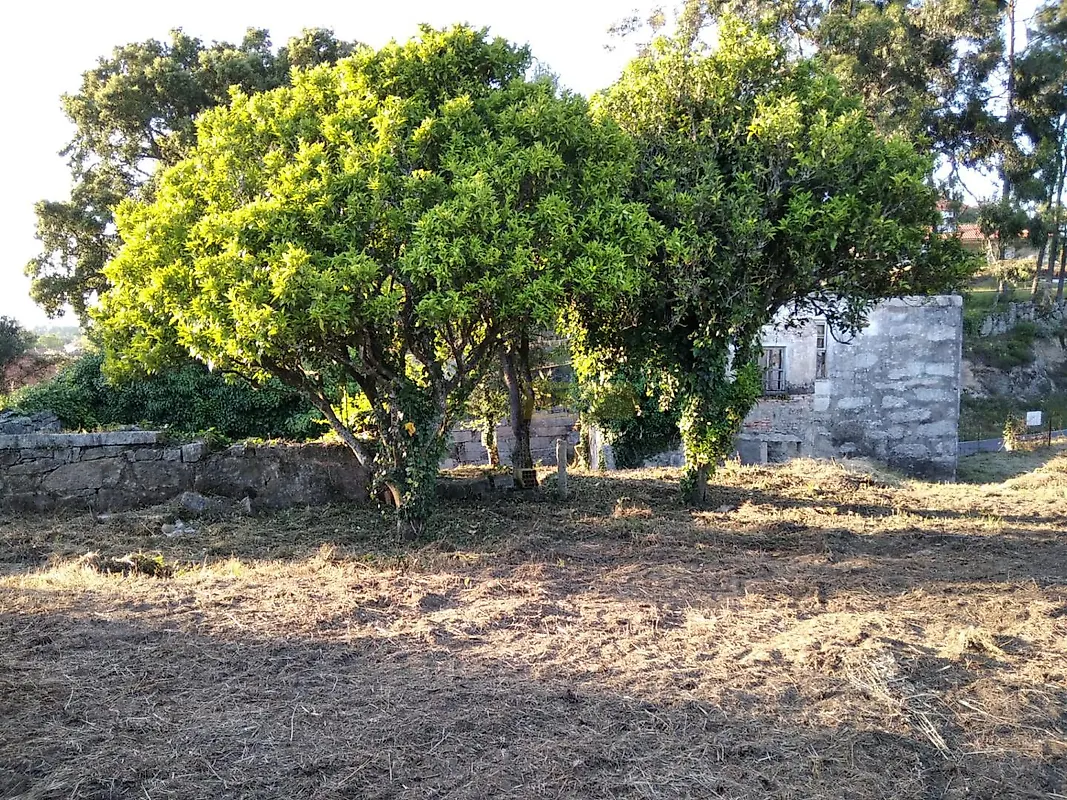 Moradia T0 à venda em Cambeses, Monção — foto 15