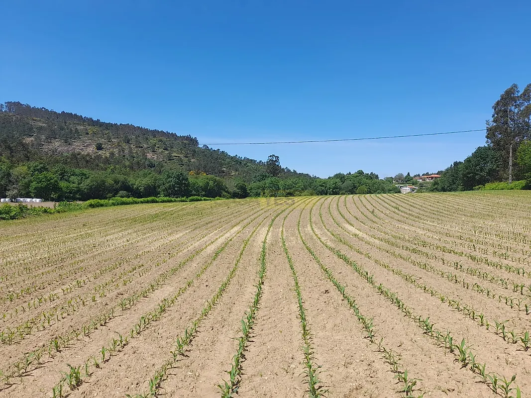Moradia T4 à venda em Panque, Barcelos — foto 5