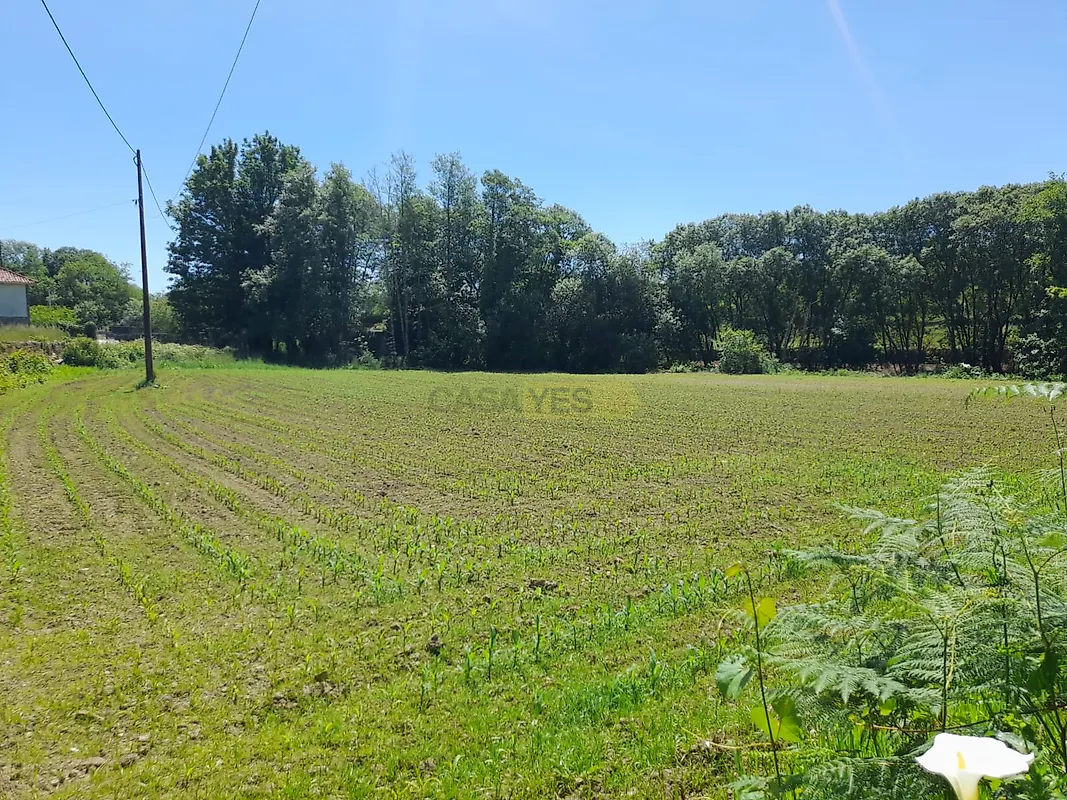 Moradia T4 à venda em Panque, Barcelos — foto 7