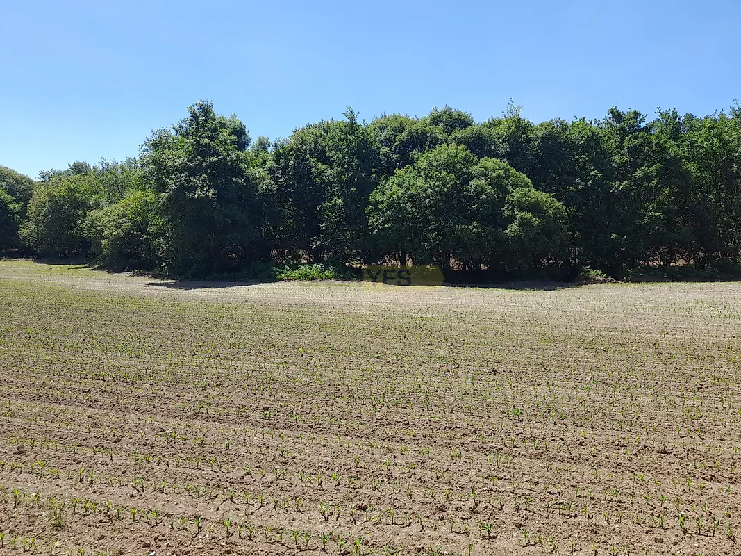 Moradia T4 à venda em Panque, Barcelos — foto 8