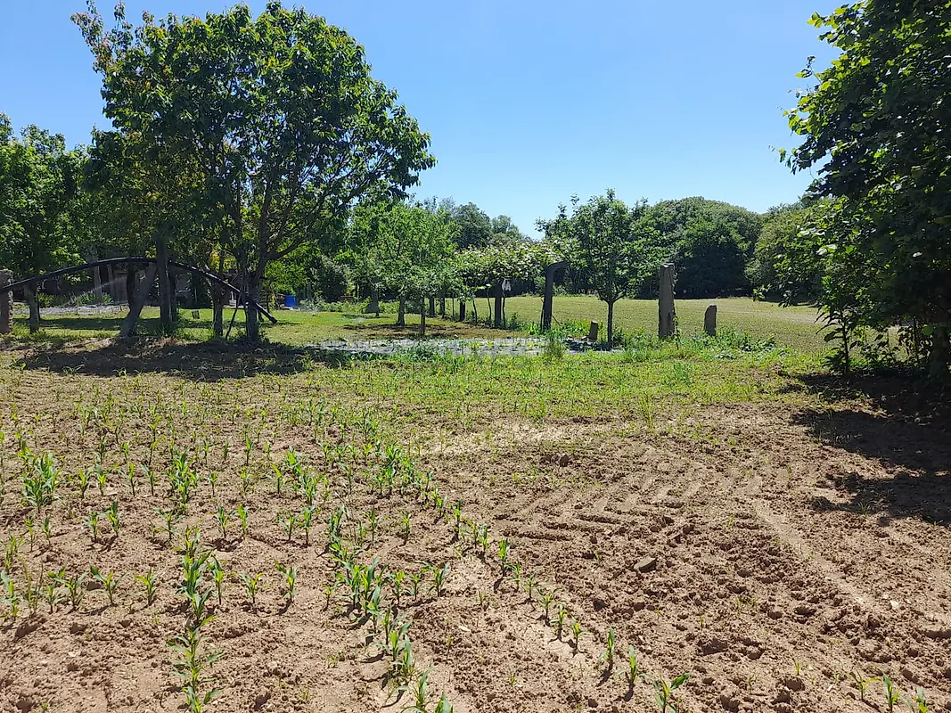 Moradia T4 à venda em Panque, Barcelos — foto 9