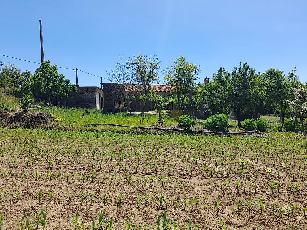 Moradia T4 à venda em Panque, Barcelos — foto 10