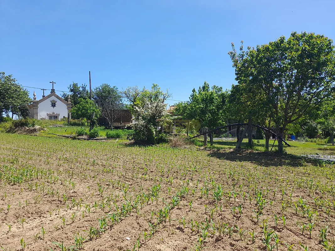 Moradia T4 à venda em Panque, Barcelos — foto 11